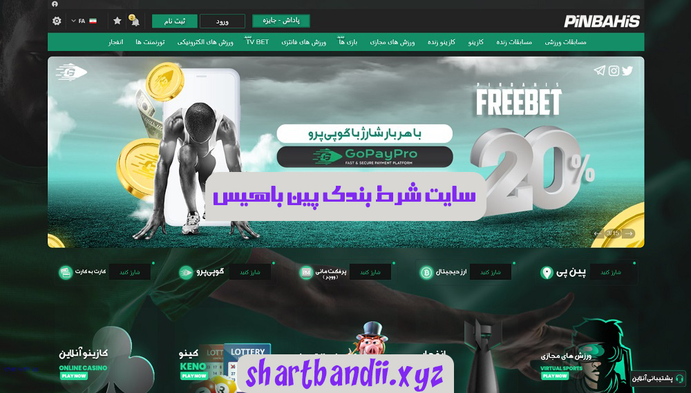 سایت شرط بندی پین باهیس pinbahis